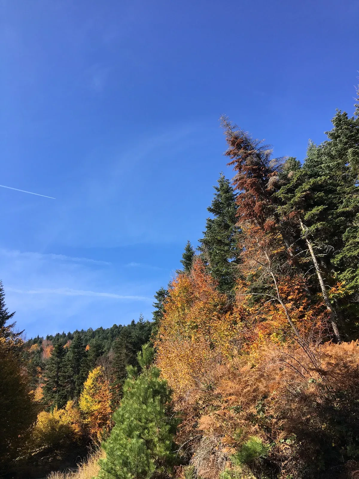 Kartepe Yamaç Paraşütü