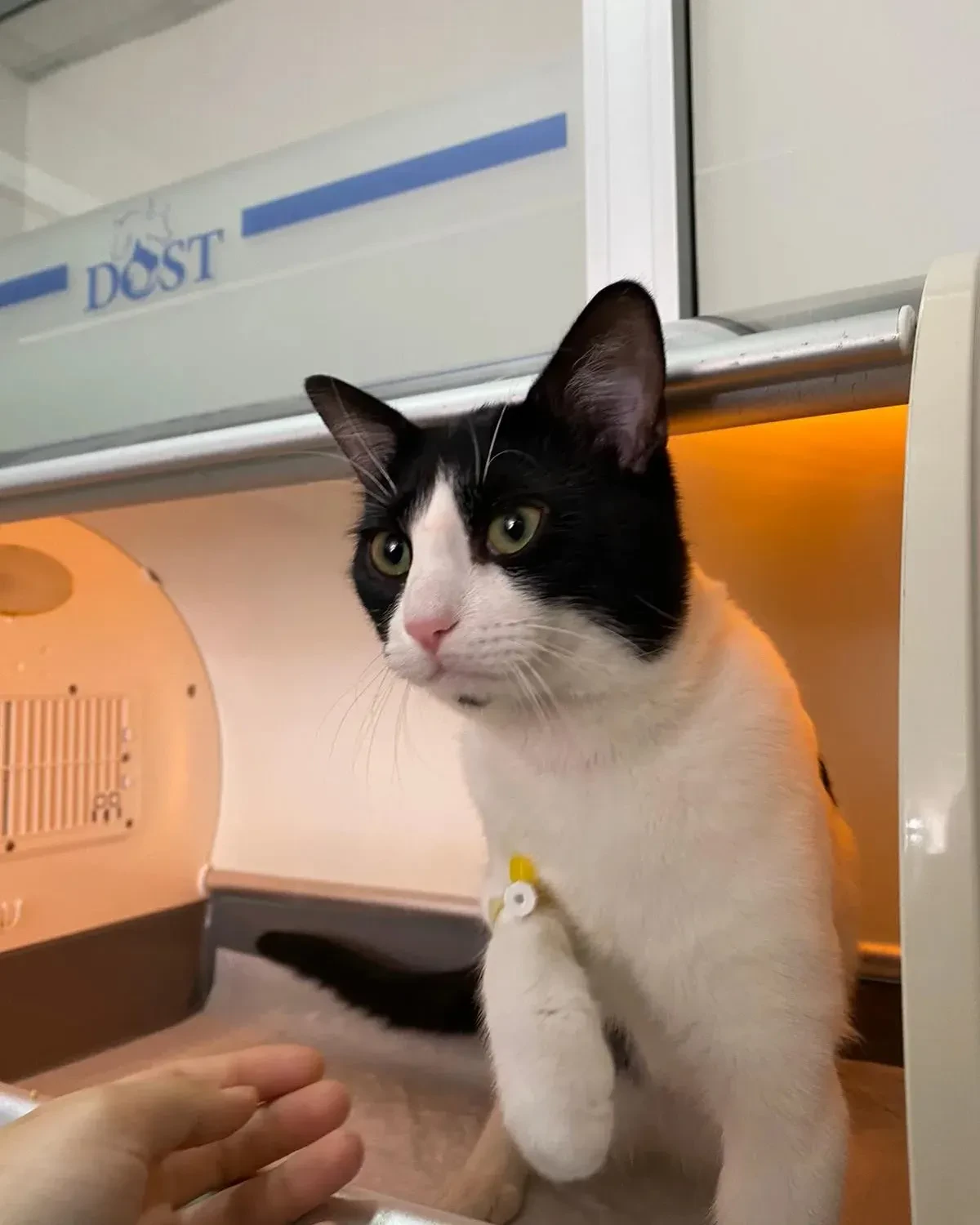 Dost Veteriner Kliniği fotoğraf 1
