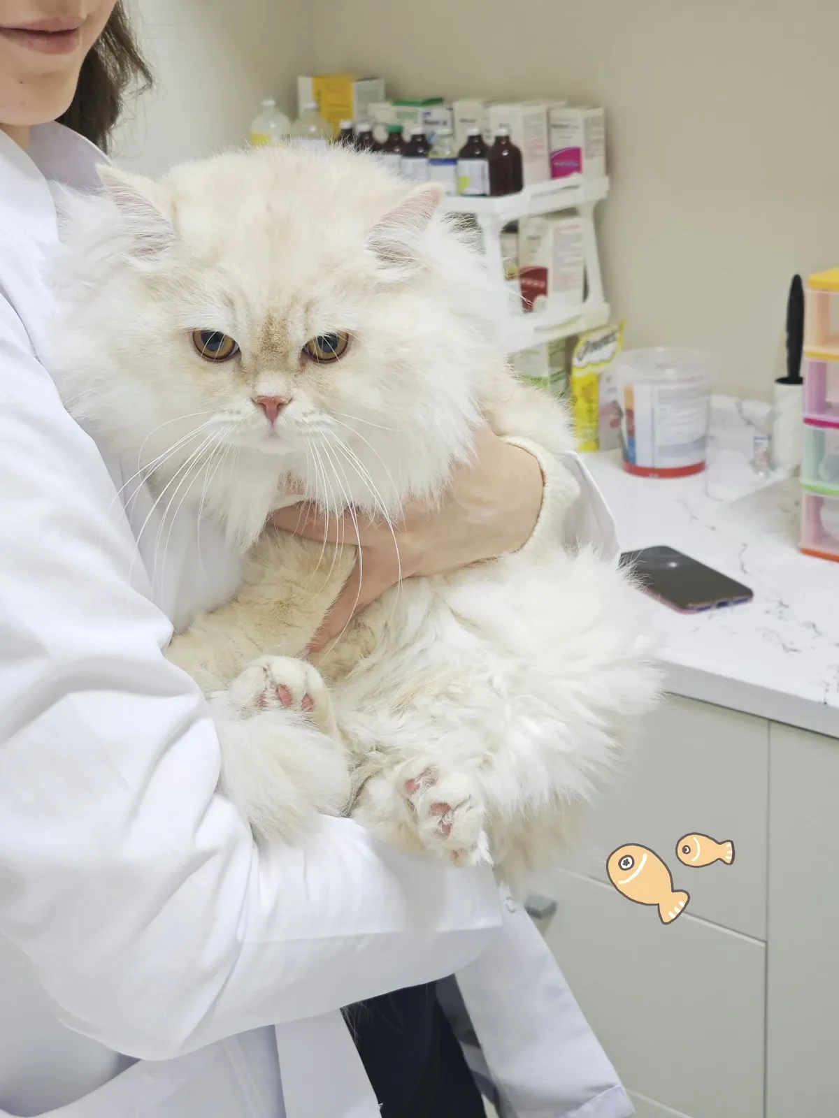 Vespera Veteriner Kliniği fotoğraf 1