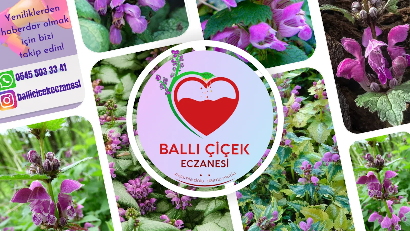Balli Çiçek Eczanesi fotoğraf 1