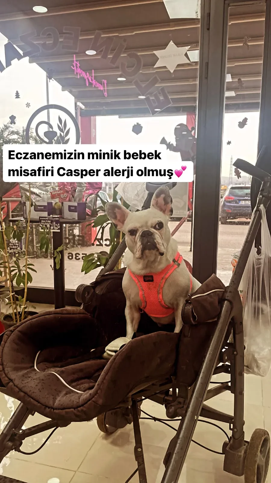 Elçin Eczanesi fotoğraf 1
