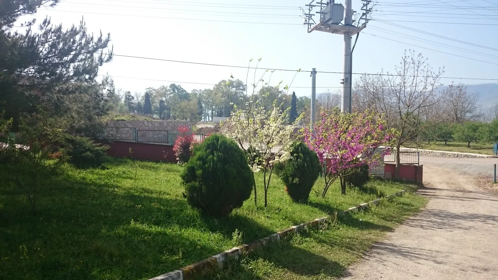 Eşme Aile Sağlığı Merkezi fotoğraf 1
