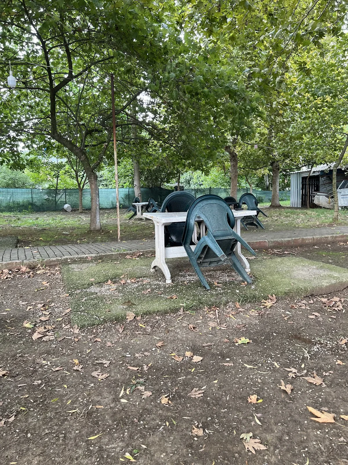 Doğa Aile Çay Bahçesi fotoğraf 1