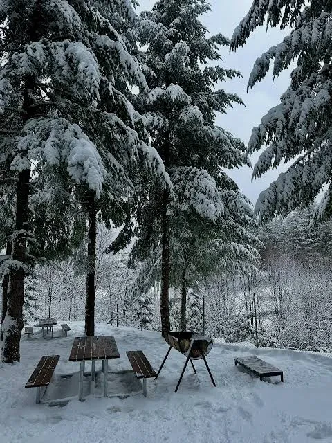 Kartepe Belediyesi Mesire Alanı fotoğraf 2