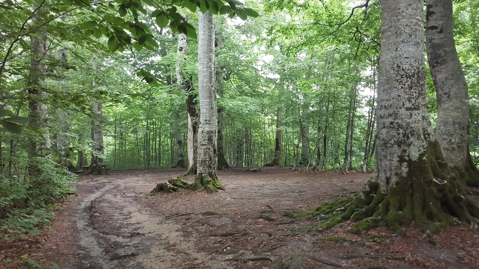 Kuzuyayla Nature Park fotoğraf 1