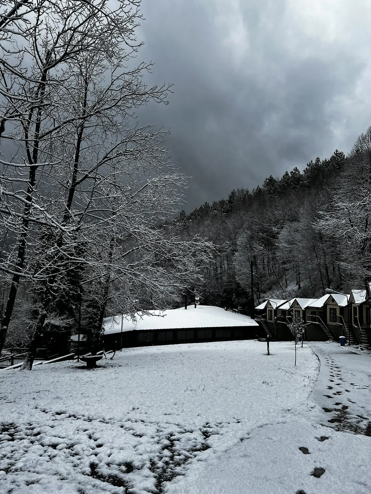 Boğaziçi Butik Otel & Bungalov fotoğraf 2