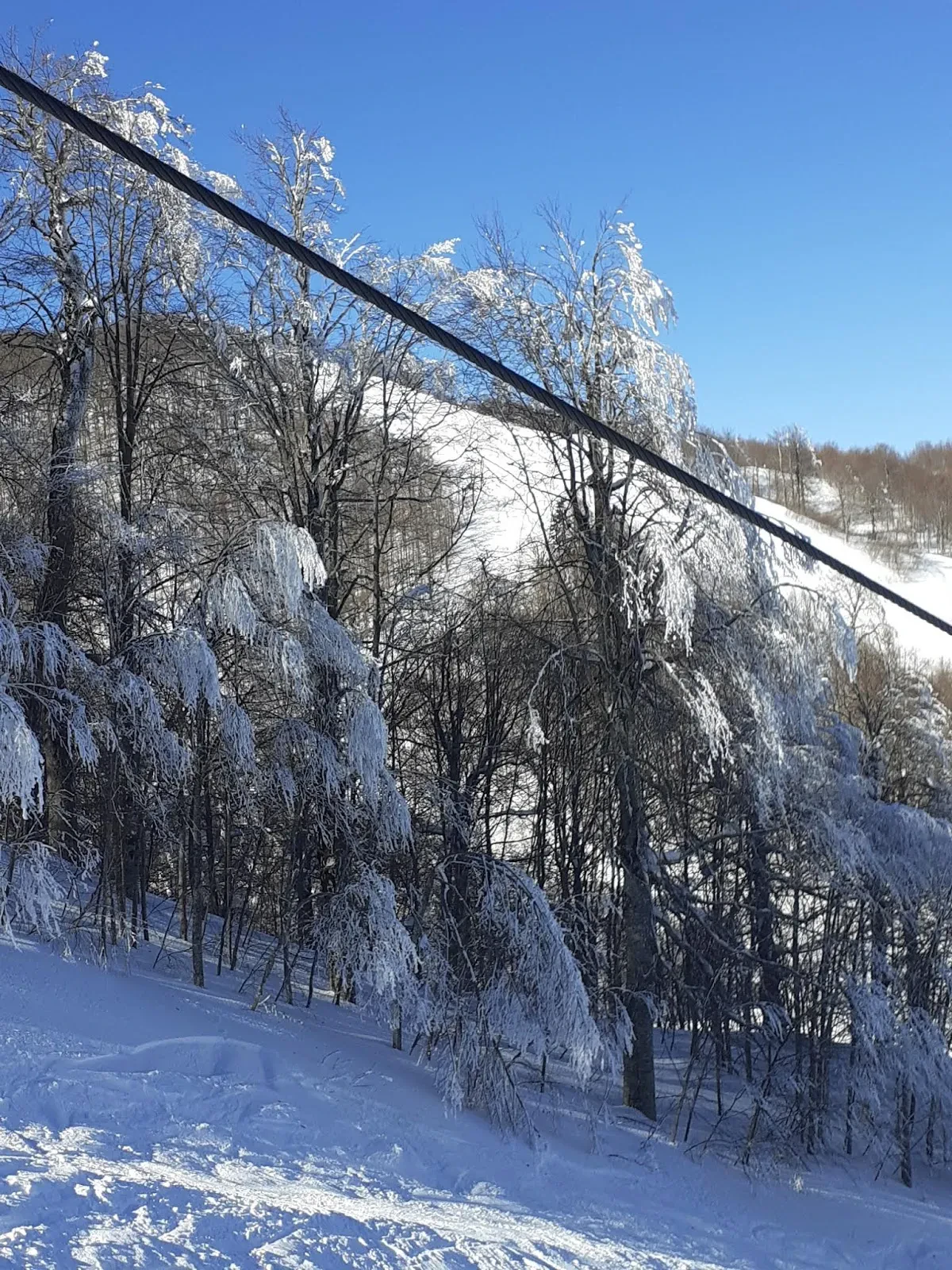 Kartepe Kayak Evi fotoğraf 1