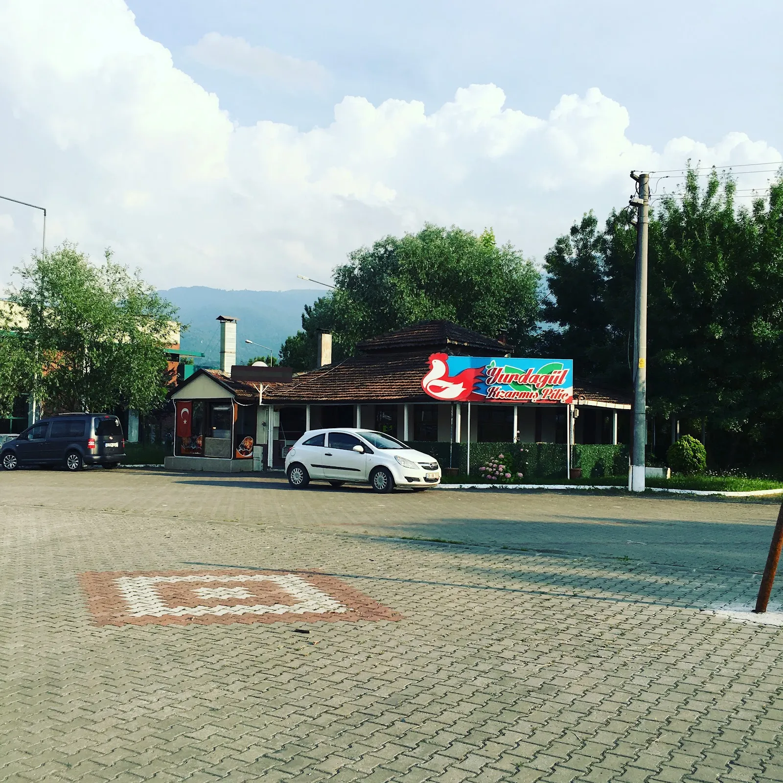 Yurdagül Kızarmış Piliç & Közde Kanatçı fotoğraf 1