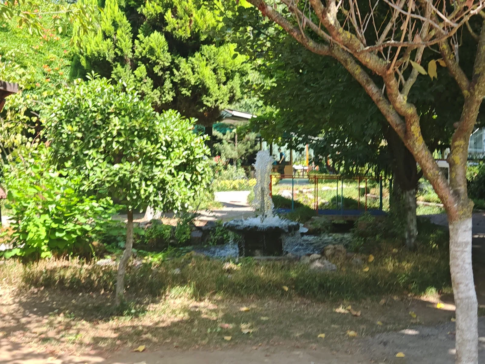 Farklı Bahçe fotoğraf 2
