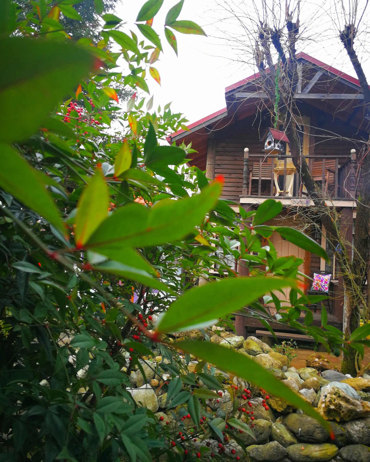 Yener Bungalov fotoğraf 1
